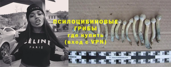 прущая мука Кинешма