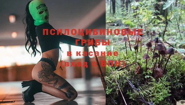 прущая мука Кинешма