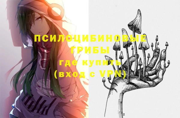 прущая мука Кинешма