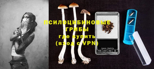 прущая мука Кинешма