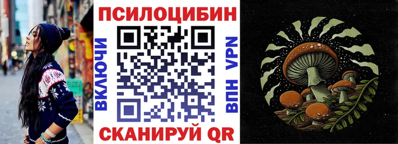 Псилоцибиновые грибы мицелий  купить закладку  Куса 
